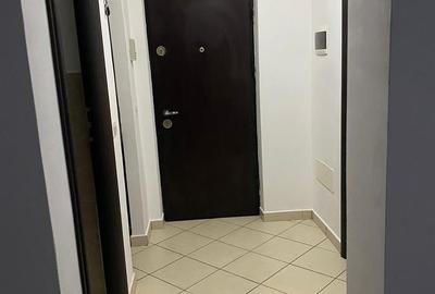 Inchiriere Apartament 4 camere Gorjului-Lujerului - 4