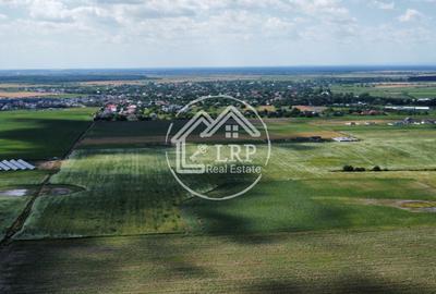 Teren Intravilan 9.918 mp Creața Dascălu, T66– Parcelabil - 11
