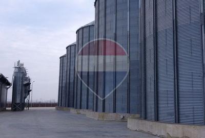 De vânzare Complex Agro-Industrial Brăila | Siloz 10.000 t | 17.257 mp - 4