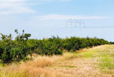 Parcele Teren Extravilan Livada si Pasune Lunca Corbului  Arges - 6