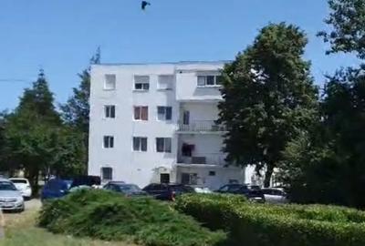 Garsoniera 25mp la Marea Neagră in Saturn, Mangalia, et 2/3 ,la 3 min de plaja - 13