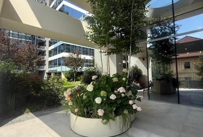 Ultimul spatiu comercial• 350 mp • Parter •Vitrine • Aviației Tower by Radacini - 21