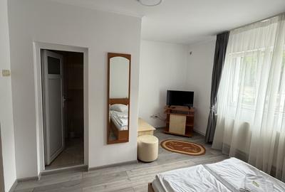 Hotel Lotru DN7 De vânzare Oportunitate de investiție pe Valea Oltului - 6