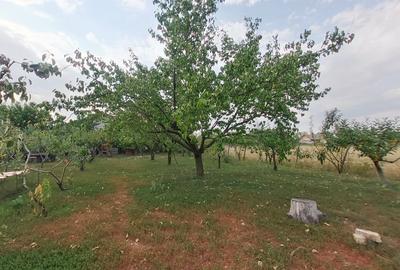 Casa noua cu 3 camere in Siria, 85 mp utili, teren 1.530 mp, livada si vie - 13