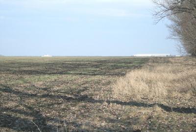 Afumati - Tarla 9, teren agricol in suprafata de 9.200 mp. - 8