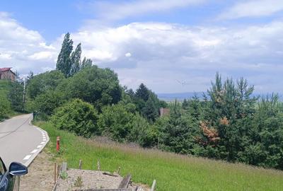 Teren Construcții intravilan de 3500 mp, în Cernatu