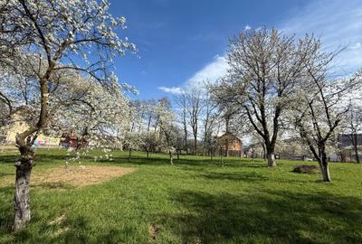 Teren intravilan 1355 mp in zona Bran, judetul Brasov - 10
