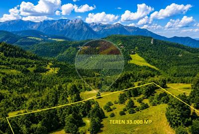 Teren agricol extravilan de 33319 mp, în Vlădeț - Trei Brazi