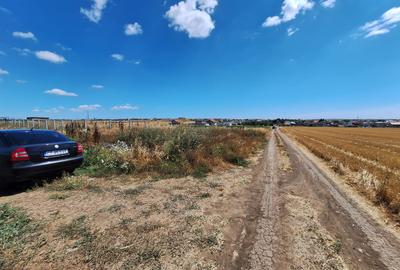 Teren Construcții intravilan de 5000 mp, în Lazu