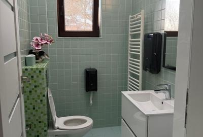 Proprietar Vila individuala 180 mp utili, teren 270 - 11