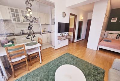 Garsoniera Baneasa Iancu Nicolae - Aleea Privighetorilor - 2