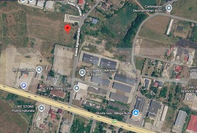 Teren Construcții intravilan de 15000 mp, în Lețcani