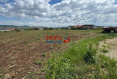 Teren Construcții intravilan de 2740 mp, în Micești
