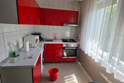 Dristor, 15 minute metrou, Ramnicul Sarat, pe strada Lacramioarei - 2