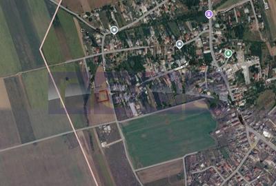 Teren Construcții intravilan de 2000 mp, în Dascălu
