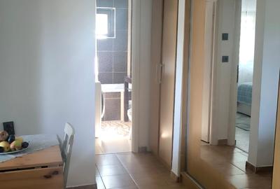 Constantin Brancoveanu-strada Radului-apartament 2 camere - 14