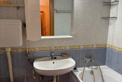 Drumul Taberei, Valea Argesului, Apartament 3 camere de inchiriat - 15
