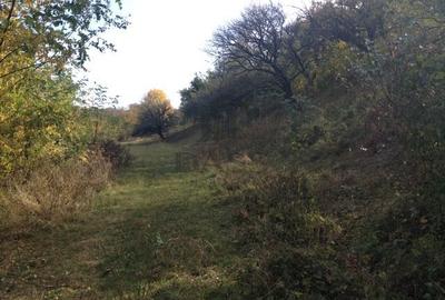 Teren extravilan de vanzare 1.125 mp Două fronturi Zona Gusterita - 4