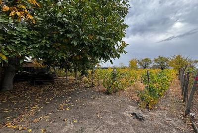 Casa de vanzare Odobesti, 3 camere, teren 1.000 mp, zona de vile - 6
