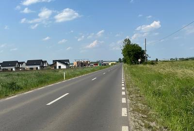 Teren 18.100 mp pentru dezvoltare in Sura Mica / jud. Sibiu - 5
