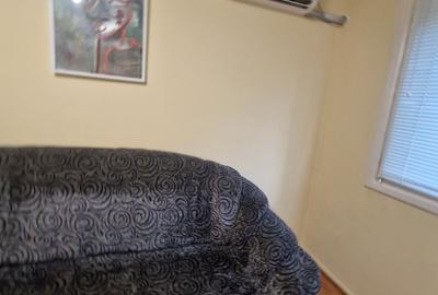 Apartament cochet -vecin parcul Botanic, între Piața UNIRII și IULIUS MALL - 8