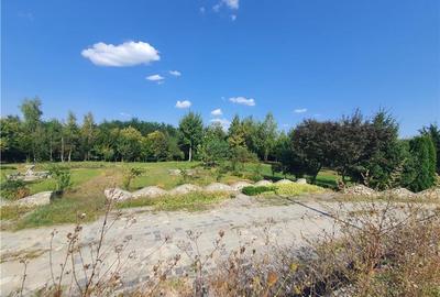 Teren intravilan - ultimul lot de 698mp in Sacel - zona lacuri - 20