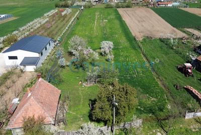 Teren intravilan pentru dezvoltare imobiliara, Les, Bihor 5064mp - 3
