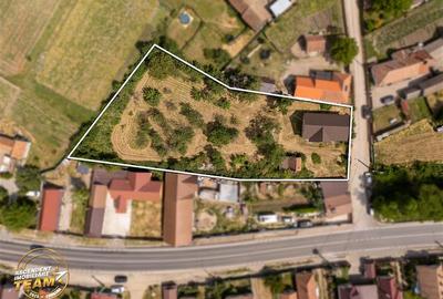 FILM! Casa personalizabila +2.700mp teren,pomi fructiferi,langa Sfantu Gheorghe: - 20