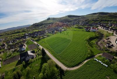 OPORTUNITATE INVESTIȚIONALĂ – TEREN INTRAVILAN 7.342 MP ALMA – SIBIU - 5