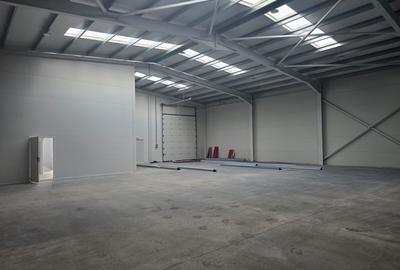 Inchiriere hala/birouri, TBM Industrial Park 600 MPU si teren 1016mp - 5