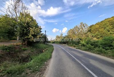 Teren spectaculos cu padure, livada si priveliste panoramica in Soimari PH - 1