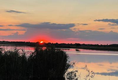 Snagov 2022- Vila la lac piscina si ponton, teren 2050mp - 10