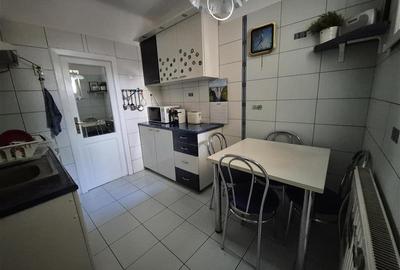 2 apartamente in vila, Turda - Ion Mihalache - 8