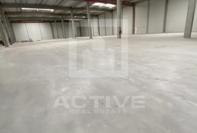 Hala NOUA-autorizatie ISU-zona Sanicoara - 1