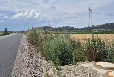 Teren agricol extravilan de 30600 mp, în Hărman