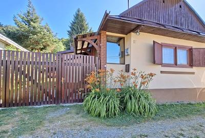 Casă individuală cu 3 camere în Central