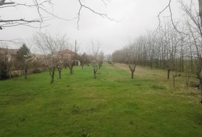 Teren Intravilan Techirghiol 4350mp - 3