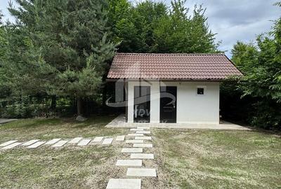 Pensiune/ Vila Valea Avrigului - 23