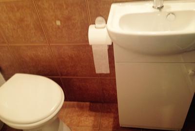 Inchiriere apartament 2 camere decomandat - 6