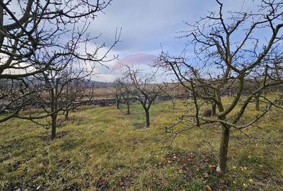 Teren extravilan 10,791mp Falticeni / Strada DJ209A, Opriseni - 15