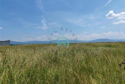 Teren industrial de vanzare, 7700 mp, Parc Industrial Prejmer - 5