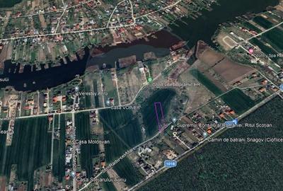 Teren 3000 mp în Snagov – zonă in dezvoltare, aproape de pădure - 11