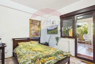 Apartament cu terasă într-o vilă interbelică B-dul Primaverii - 11