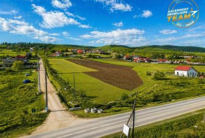Proprietate remarcabila: 32.000mp teren, acces direct DJ112,Ilieni,Covasna - 6