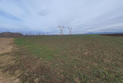 Teren centura Brasov pretabil investitie 5 euro/mp - 3