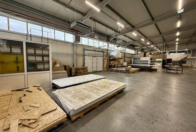 COM 0% Hala industriala 1035 mp utili |  Zona Mehala - 7