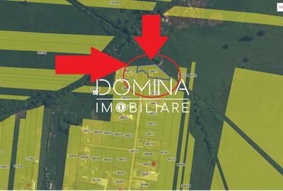 Vânzare teren intravilan împrejmuit - zonă liniștită, Drăguțești - 10