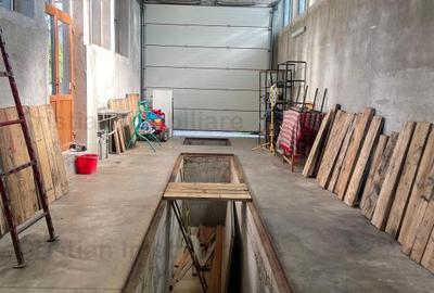 Hala 60 mp, PRETABILA ORICE TIP DE ACTIVITATE, zona Piata Saraca - 1