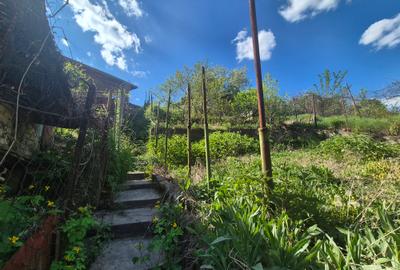 Casa langa Gradina Zoologica - 8