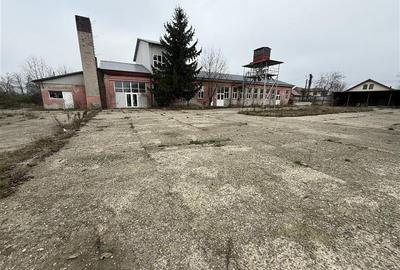 Hale industriale de inchiriat cu platforma betonata de 10.424mp - Șerbanest - 1